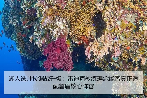 湖人选帅拉锯战升级：雷迪克教练理念能否真正适配詹眉核心阵容